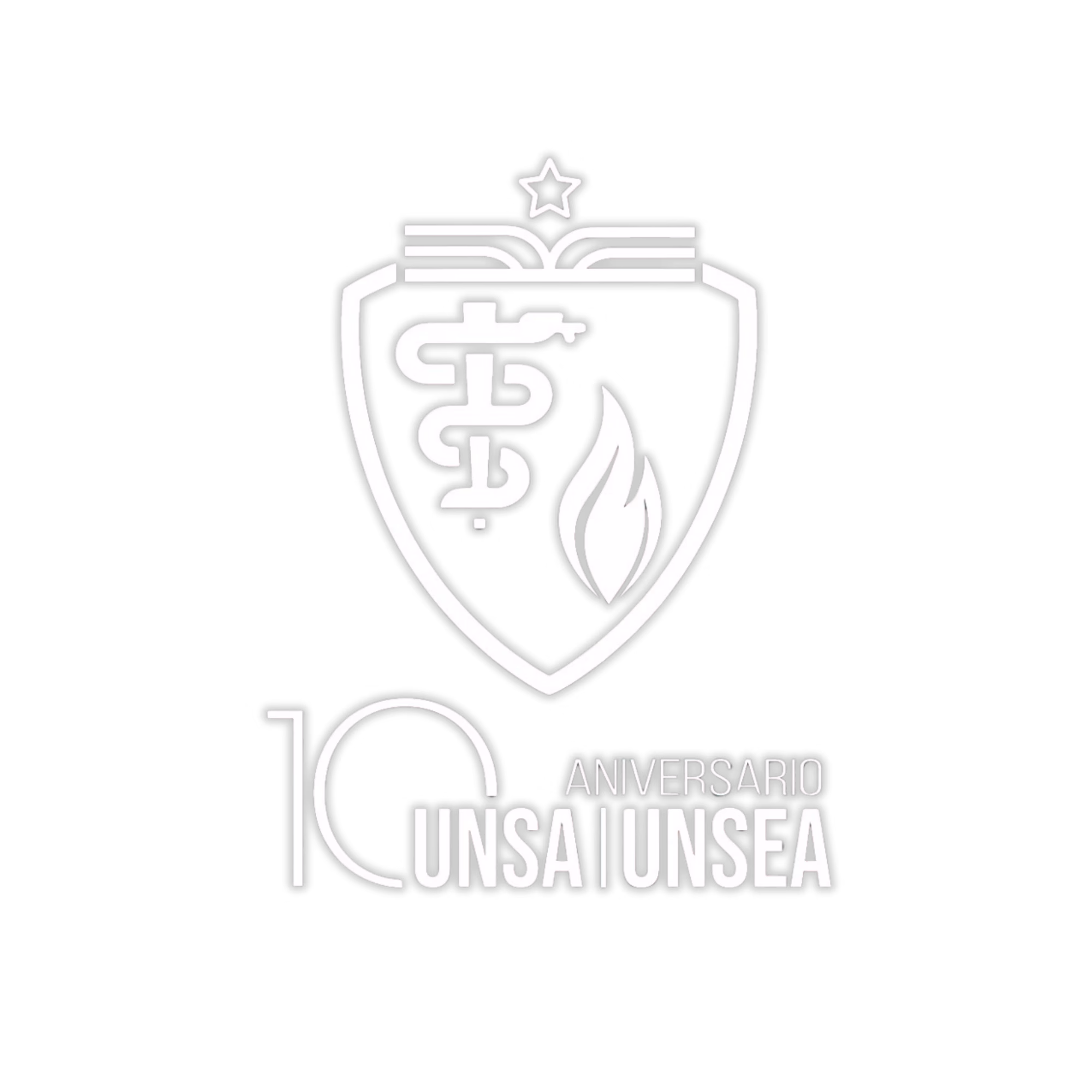 UNSEA – Universidad de la Salud y Enseñanza Administrativa